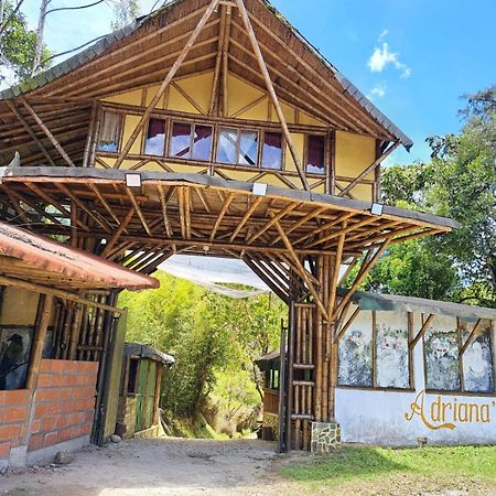 Adriana's Bambu-Lodge Guatape Bagian luar foto
