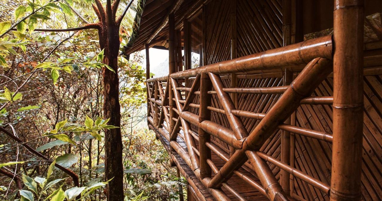 Adriana's Bambu-Lodge Guatape Bagian luar foto