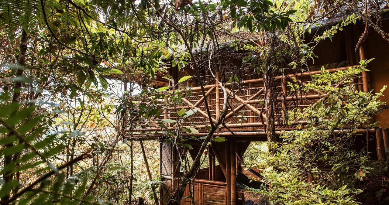 Adriana's Bambu-Lodge Guatape Bagian luar foto
