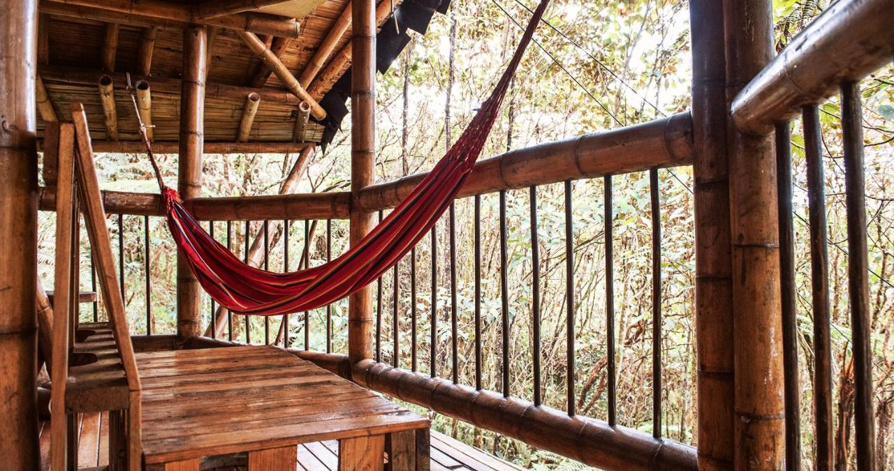 Adriana's Bambu-Lodge Guatape Bagian luar foto