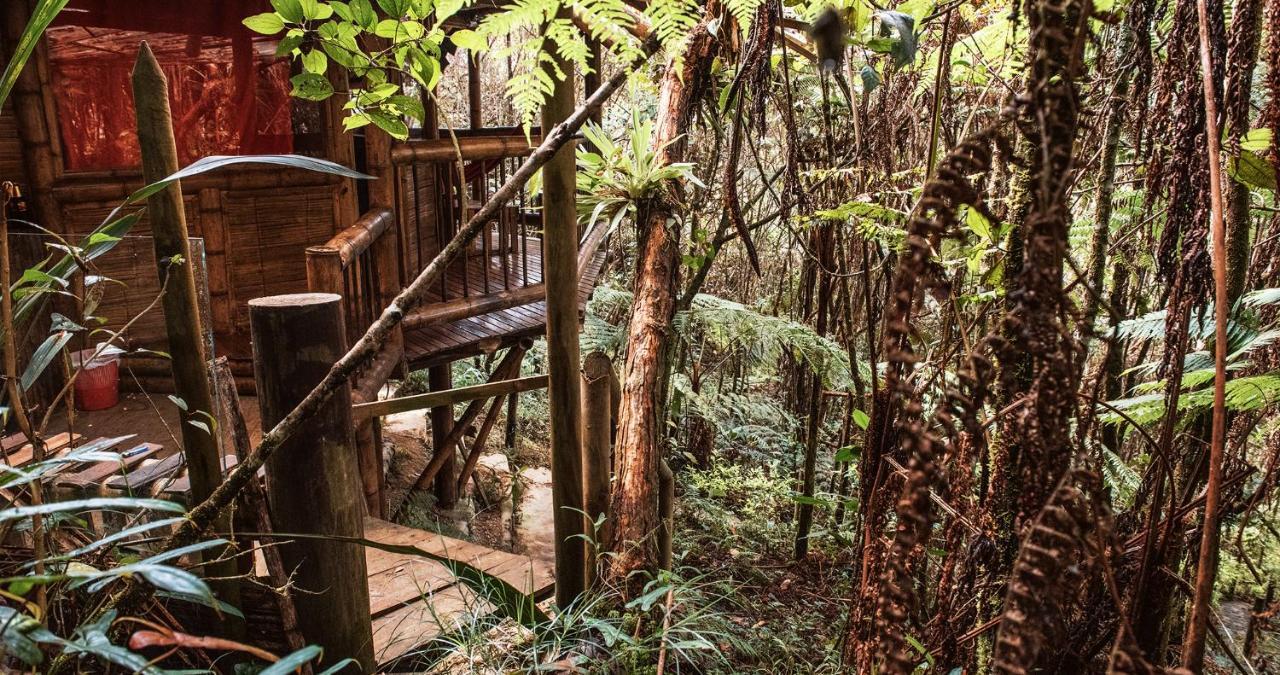 Adriana's Bambu-Lodge Guatape Bagian luar foto