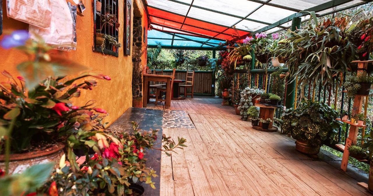 Adriana's Bambu-Lodge Guatape Bagian luar foto