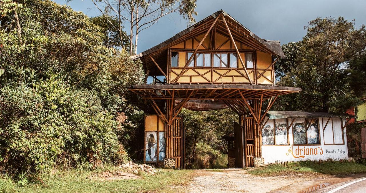 Adriana's Bambu-Lodge Guatape Bagian luar foto