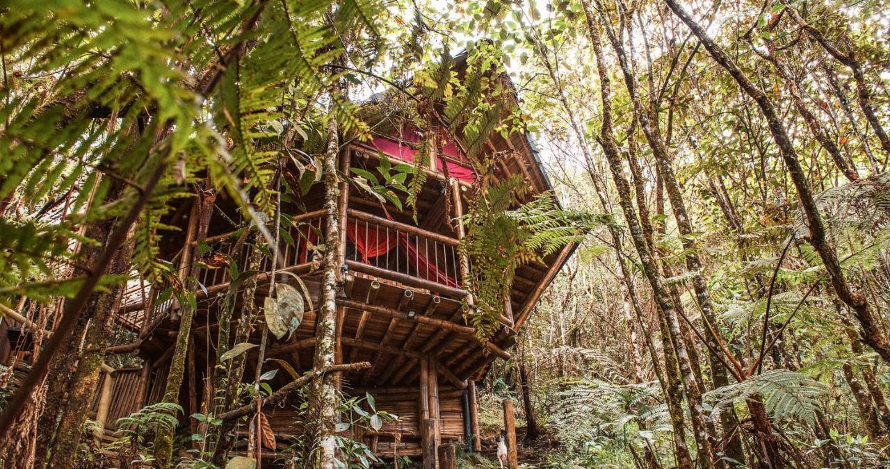 Adriana's Bambu-Lodge Guatape Bagian luar foto