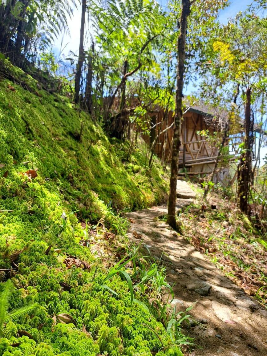 Adriana's Bambu-Lodge Guatape Bagian luar foto