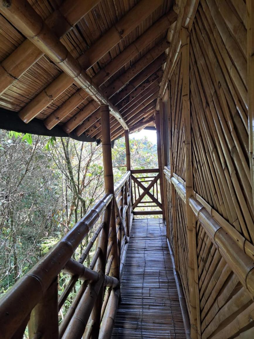 Adriana's Bambu-Lodge Guatape Bagian luar foto