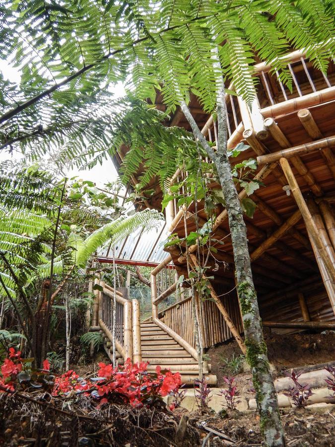 Adriana's Bambu-Lodge Guatape Bagian luar foto
