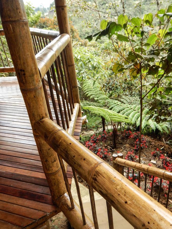 Adriana's Bambu-Lodge Guatape Bagian luar foto