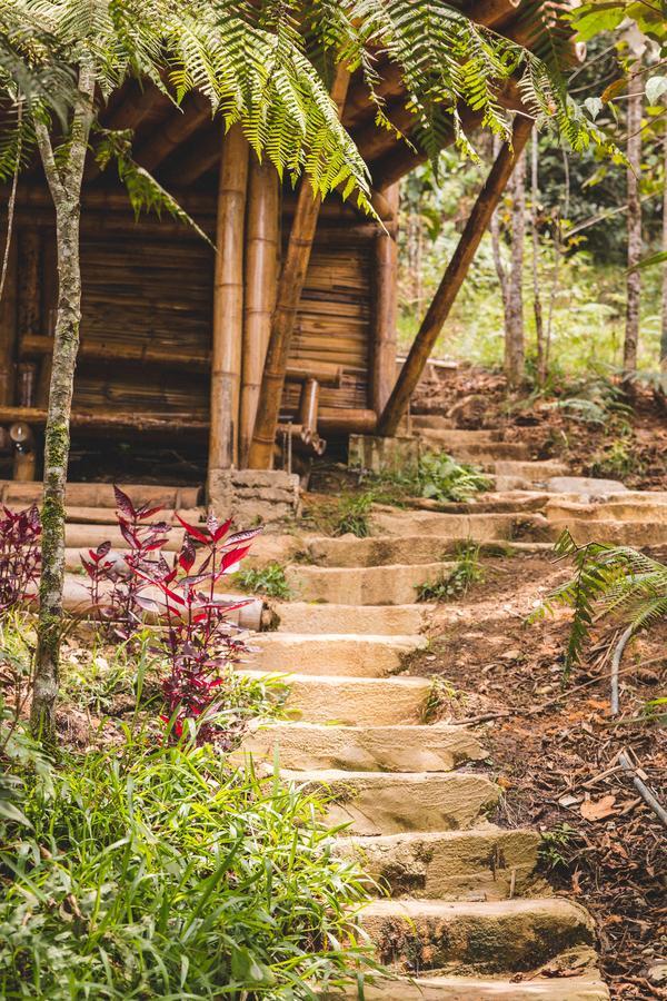 Adriana's Bambu-Lodge Guatape Bagian luar foto