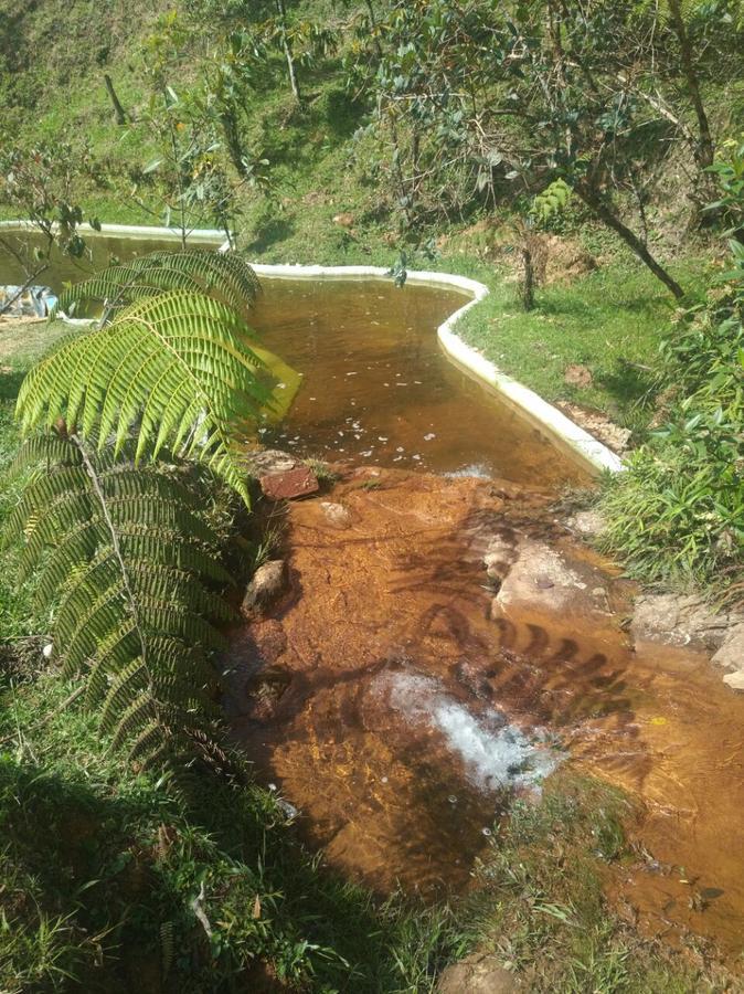 Adriana's Bambu-Lodge Guatape Bagian luar foto